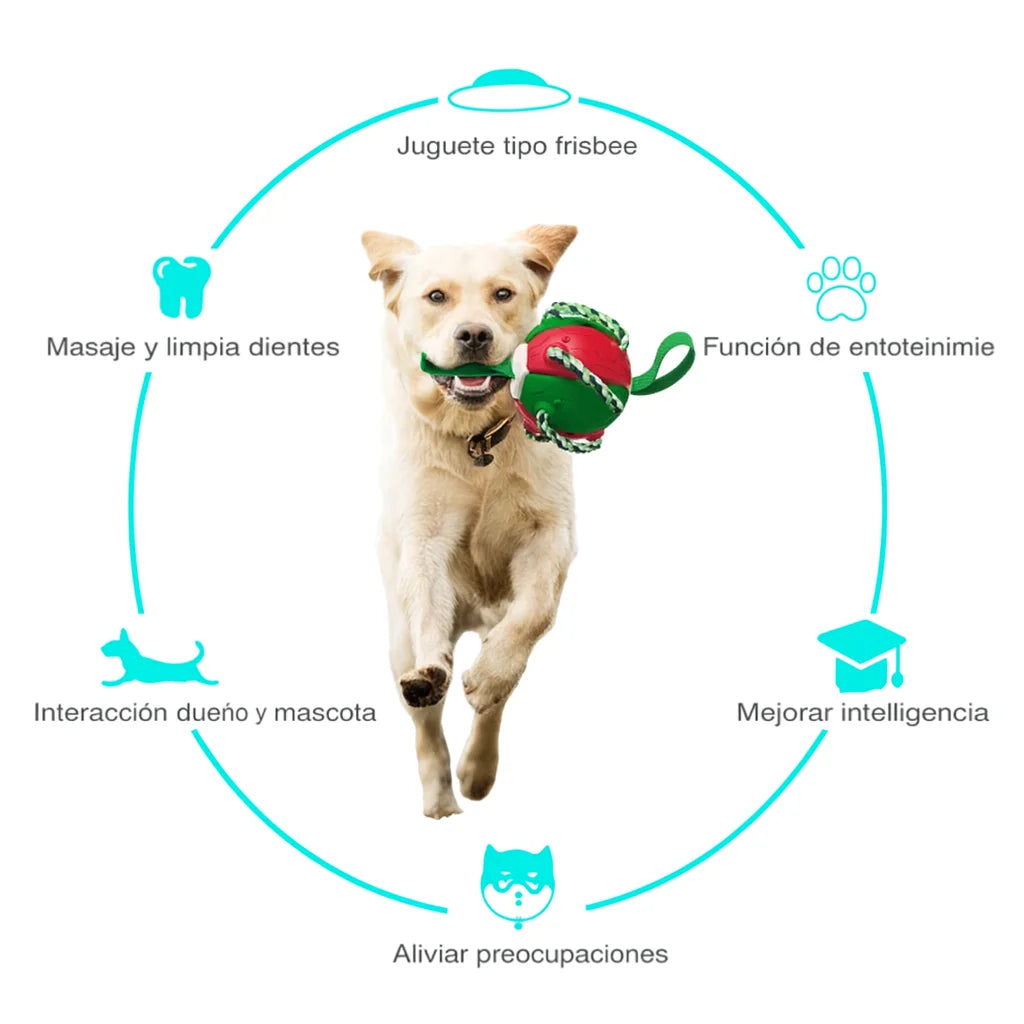 DogFly™ Pelota Frisbee Multifuncional