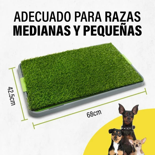 Potty Patch™ Tapete Entrenador Lavable para Perros