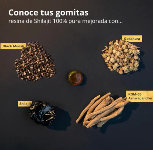 Shilajit en Gomitas™ Bienestar Natural Por 60 Días