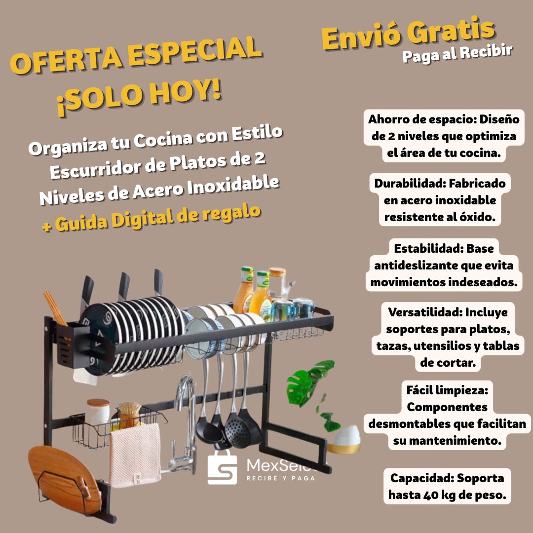 Organiza tu Cocina con Estilo: Escurridor de Platos de 2 Niveles de Acero Inoxidable