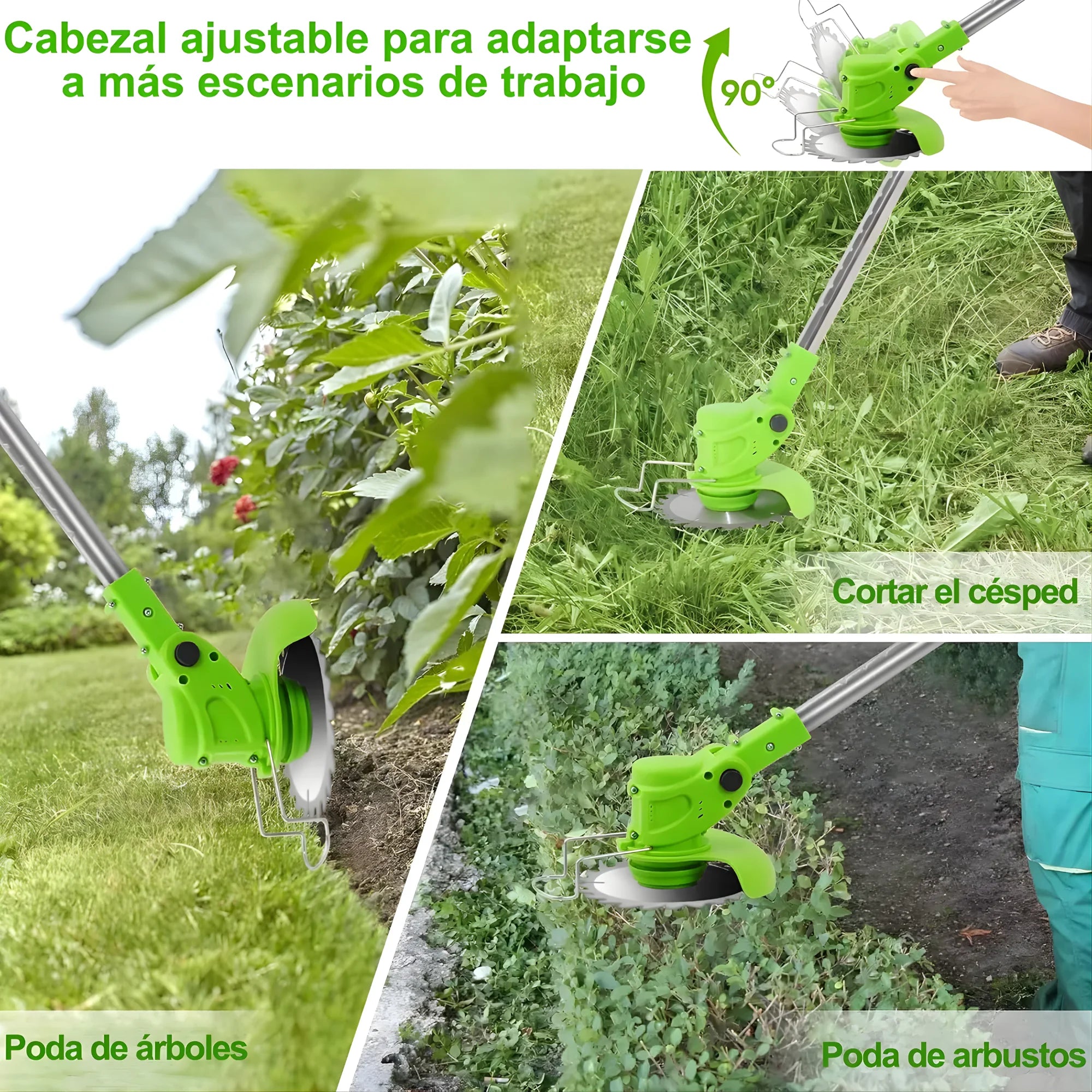 Encabezado