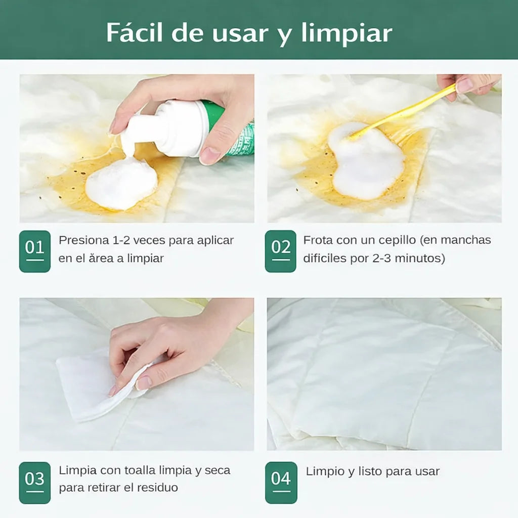Encabezado