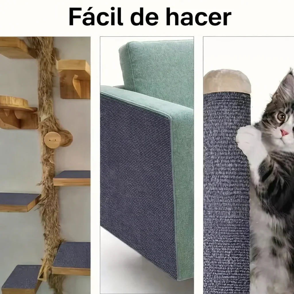 Encabezado