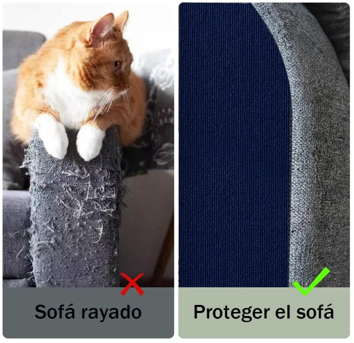 Encabezado
