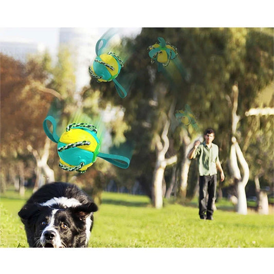 DogFly™ Pelota Frisbee Multifuncional
