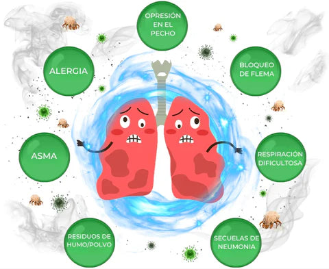 PulmoHerbX® Spray 100 % Herbal - Limpia y Descongestiona tus Pulmones