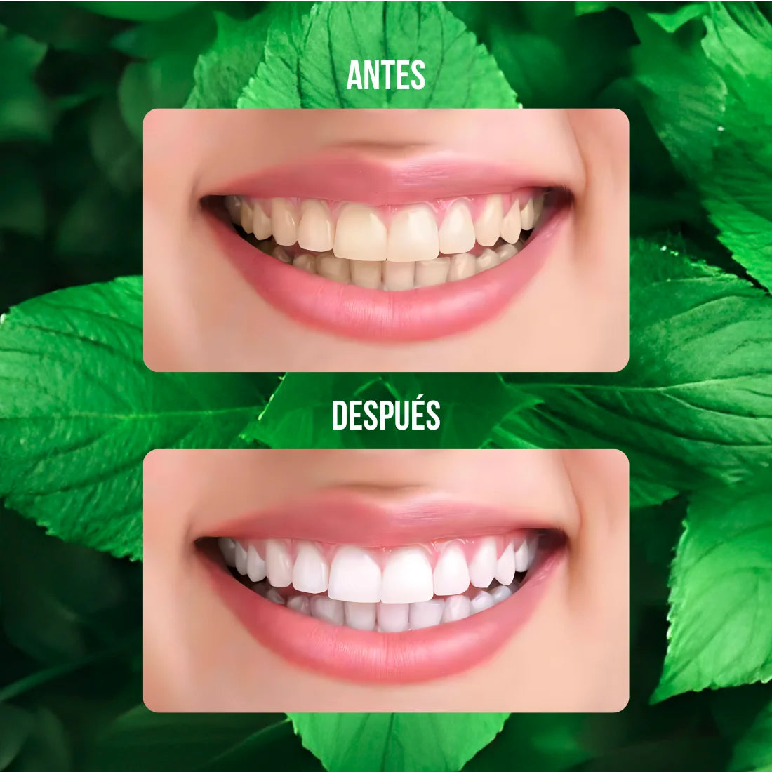 FreshBite™ Cápsulas Pasta de Dientes (Tabletas Dentales) ¡2x1!