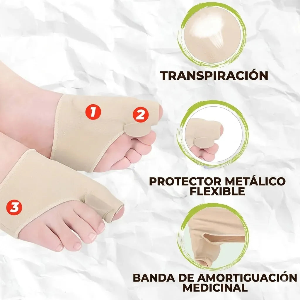 Encabezado