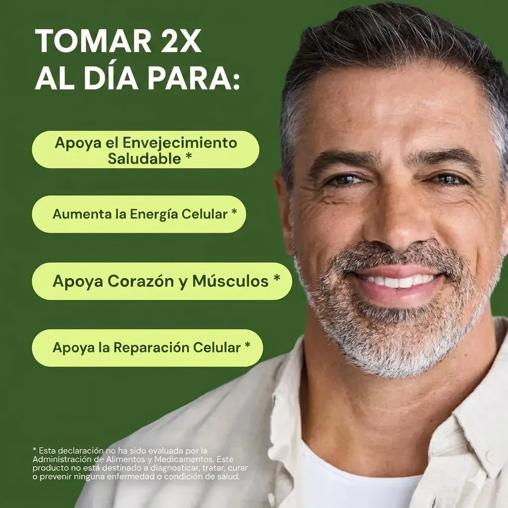 Encabezado