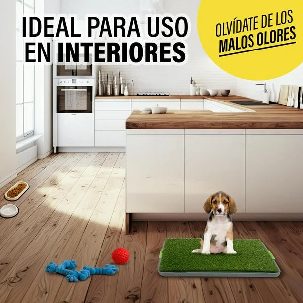 Potty Patch™ Tapete Entrenador Lavable para Perros