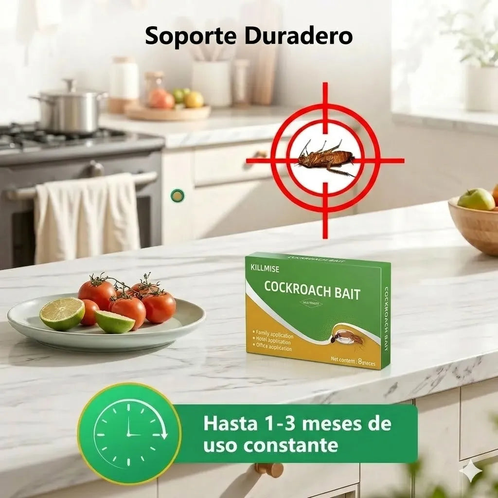 Encabezado