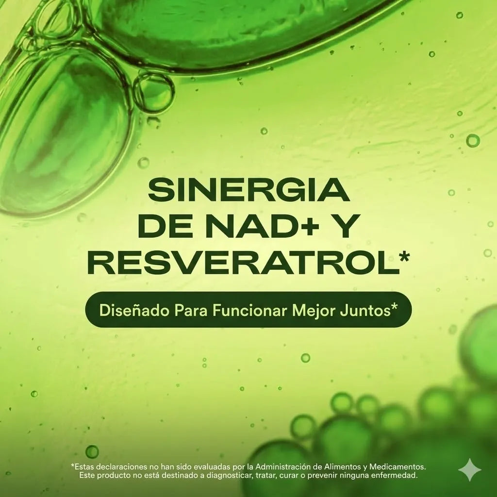 Encabezado
