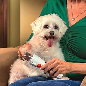 PAW PERFECT™  Corta sus uñas sin miedo y sin lastimarlo ¡MÁS REGALO ESPECIAL!