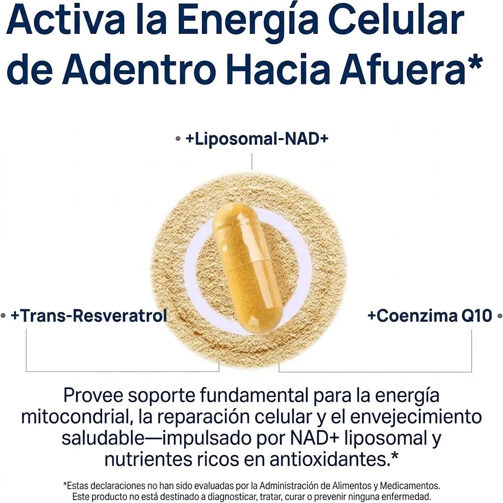 Encabezado